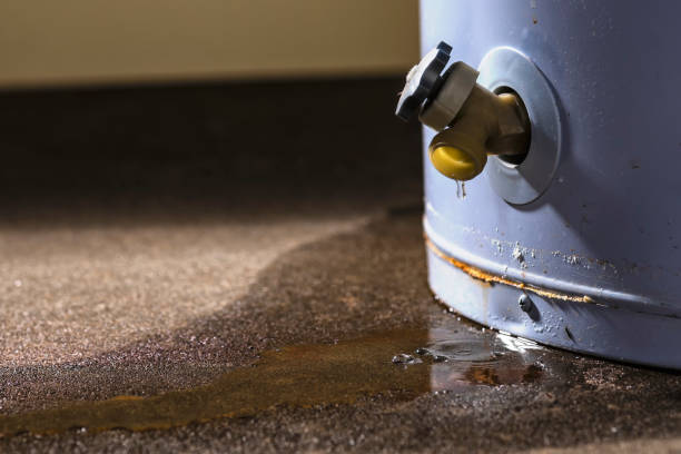Best Flood restoration services  in Lakeview, GA