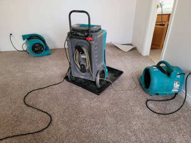 Best Flooded house restoration  in Lakeview, GA