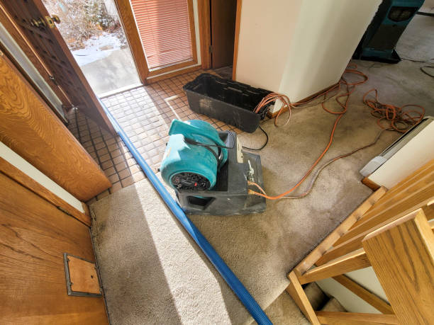 Best Mold removal after water damage  in Lakeview, GA