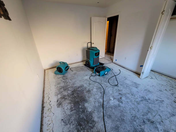 Best Commercial water damage restoration  in Lakeview, GA