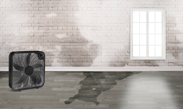 Best Water damage mitigation services  in Lakeview, GA
