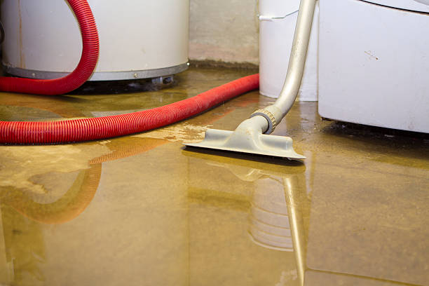 Best Carpet water damage restoration  in Lakeview, GA
