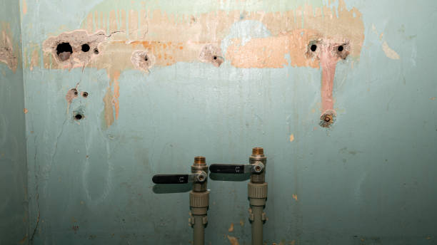 Best Sewage cleanup and water damage restoration  in Lakeview, GA