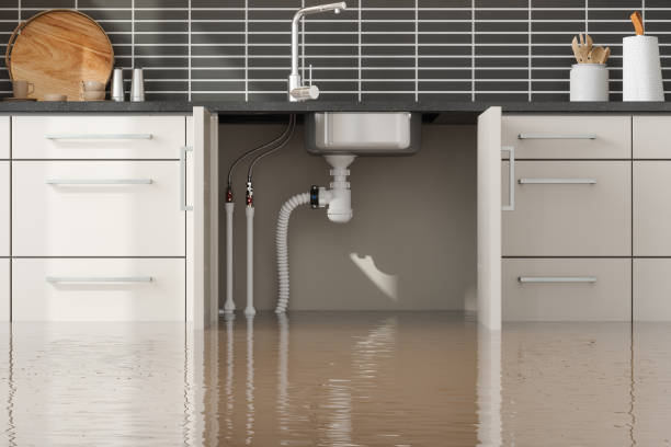 Best Water damage restoration services  in Lakeview, GA