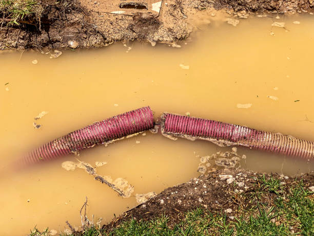 Best Water damage restoration near me  in Lakeview, GA