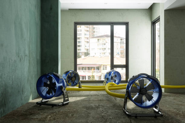 Best Commercial water damage restoration  in Lakeview, GA